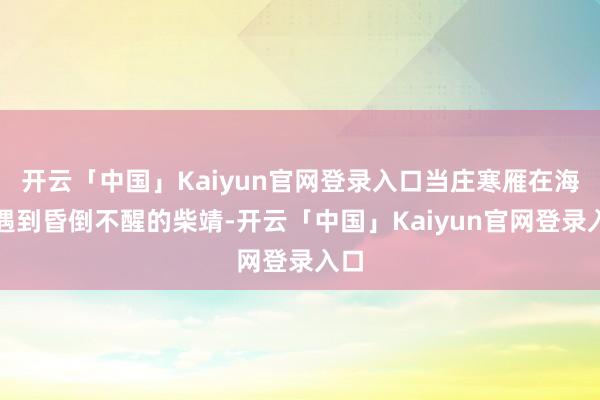 开云「中国」Kaiyun官网登录入口当庄寒雁在海边遇到昏倒不醒的柴靖-开云「中国」Kaiyun官网登录入口