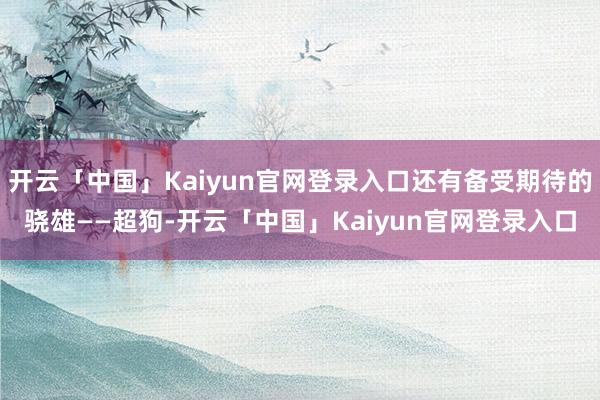 开云「中国」Kaiyun官网登录入口还有备受期待的骁雄——超狗-开云「中国」Kaiyun官网登录入口