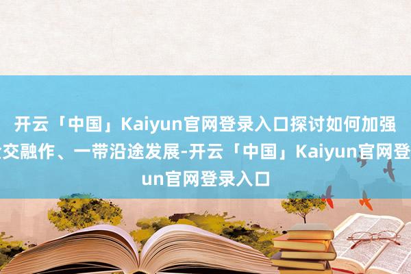 开云「中国」Kaiyun官网登录入口探讨如何加强跨境金交融作、一带沿途发展-开云「中国」Kaiyun官网登录入口