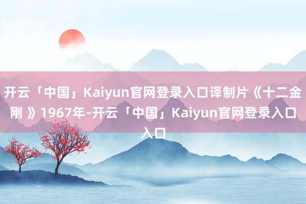开云「中国」Kaiyun官网登录入口译制片《十二金刚 》1967年-开云「中国」Kaiyun官网登录入口
