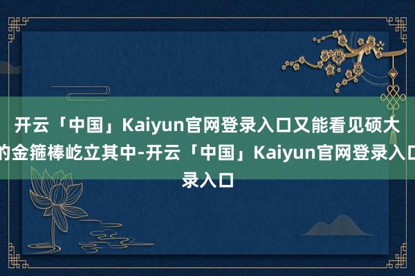 开云「中国」Kaiyun官网登录入口又能看见硕大的金箍棒屹立其中-开云「中国」Kaiyun官网登录入
