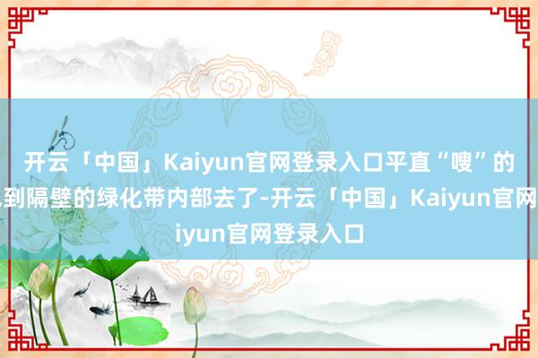 开云「中国」Kaiyun官网登录入口平直“嗖”的一声就飞到隔壁的绿化带内部去了-开云「中国」Kaiyun官网登录入口