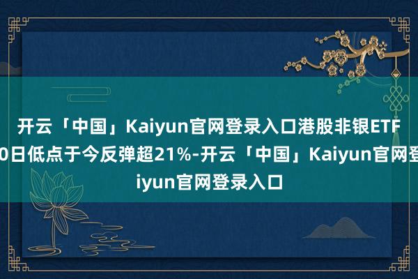 开云「中国」Kaiyun官网登录入口港股非银ETF自4月10日低点于今反弹超21%-开云「中国」Ka