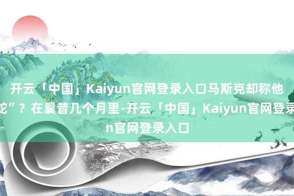 开云「中国」Kaiyun官网登录入口马斯克却称他为“蛇”？在曩昔几个月里-开云「中国」Kaiyun官网登录入口