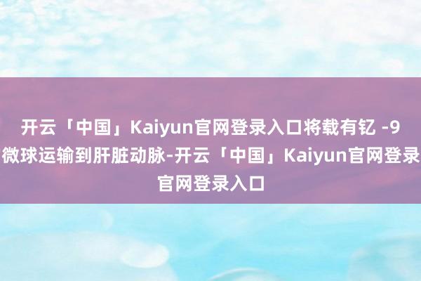 开云「中国」Kaiyun官网登录入口将载有钇 -90 的微球运输到肝脏动脉-开云「中国」Kaiyun官网登录入口