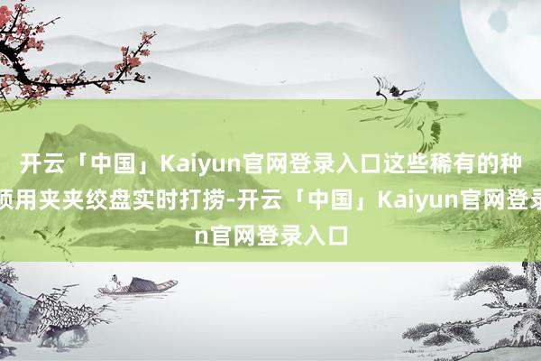 开云「中国」Kaiyun官网登录入口这些稀有的种子必须用夹夹绞盘实时打捞-开云「中国」Kaiyun官