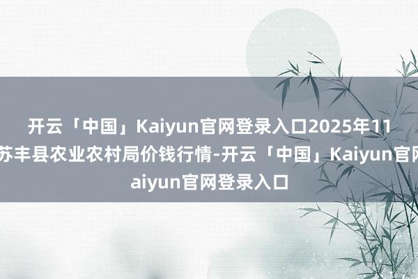 开云「中国」Kaiyun官网登录入口2025年11月23日江苏丰县农业农村局价钱行情-开云「中国」Kaiyun官网登录入口
