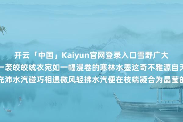 开云「中国」Kaiyun官网登录入口雪野广大连绵的雾凇为山脊披上一袭皎皎绒衣宛如一幅漫卷的寒林水墨这奇不雅源自天时地利的通晓低温与充沛水汽碰巧相遇微风轻拂水汽便在枝端凝合为晶莹的霜花云海涌动时恍如闯入