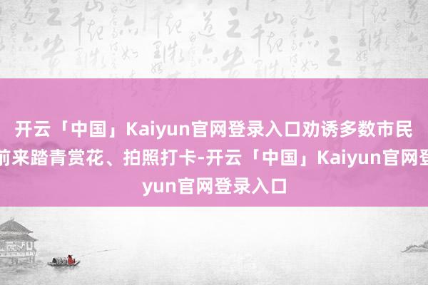 开云「中国」Kaiyun官网登录入口劝诱多数市民、搭客前来踏青赏花、拍照打卡-开云「中国」Kaiyun官网登录入口
