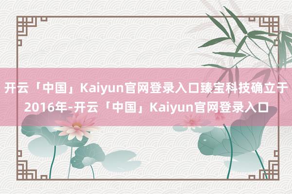 开云「中国」Kaiyun官网登录入口臻宝科技确立于2016年-开云「中国」Kaiyun官网登录入口