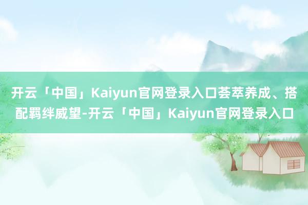 开云「中国」Kaiyun官网登录入口荟萃养成、搭配羁绊威望-开云「中国」Kaiyun官网登录入口