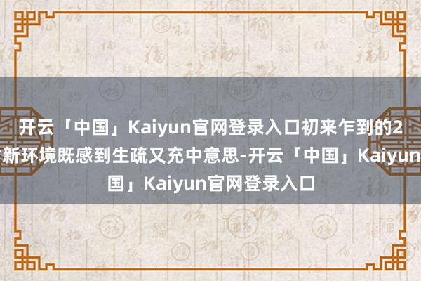 开云「中国」Kaiyun官网登录入口初来乍到的2只小黑猩猩对新环境既感到生疏又充中意思-开云「中国」Kaiyun官网登录入口