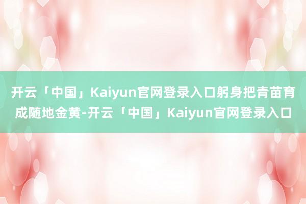 开云「中国」Kaiyun官网登录入口躬身把青苗育成随地金黄-开云「中国」Kaiyun官网登录入口